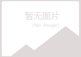 阳春字迹能源有限公司